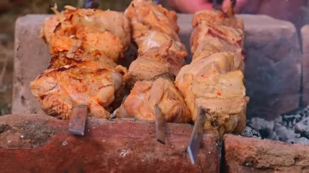 Homme Frites Tradition Kebabs Shashlik Sur Pique Nique Gros Plan — Video