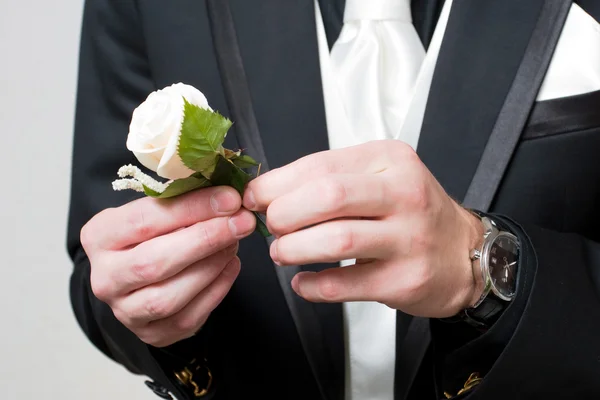 Róża w rękach człowieka w garniturze — Zdjęcie stockowe