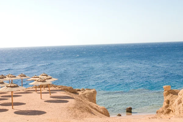 Beach — Stock Photo, Image