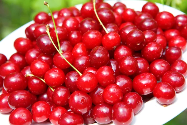 Red cherry Stock Photo