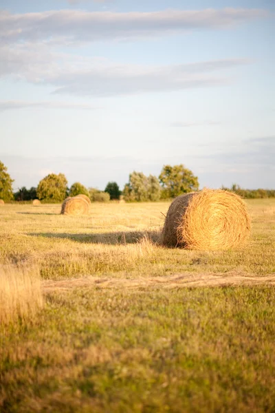Hay Bales in the countryside — Stock Photo, Image