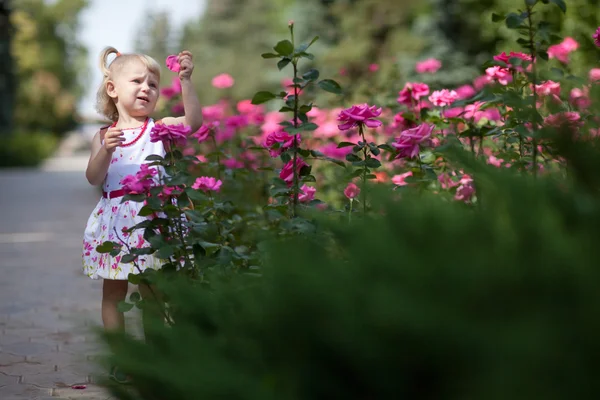 Küçük kız bir Bahçe — Stok fotoğraf