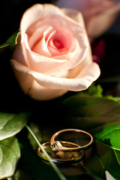 Anillos y flores —  Fotos de Stock