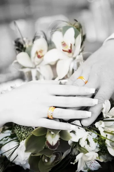 Twee handen met bruiloft ringen in balck en wit — Stockfoto