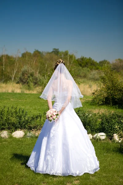 Back of the bride — Stock Photo, Image