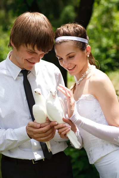 Couple with pigeons — Stock Photo, Image