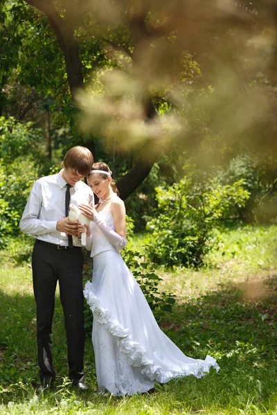 güvercinler ile Çift