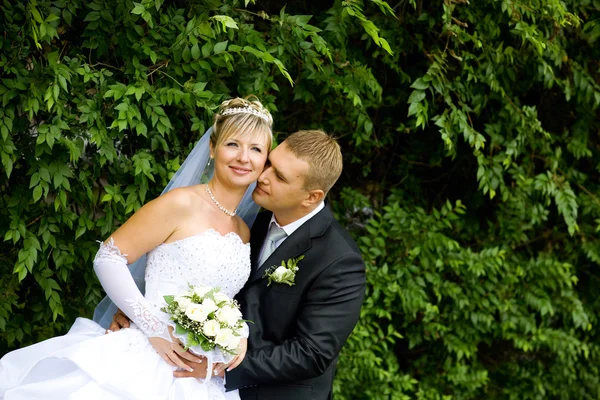 Kuss von Braut und Bräutigam — Stockfoto