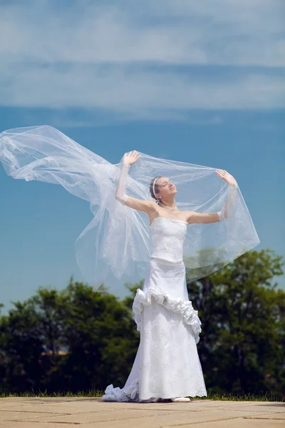 Bride and veil — Stock Photo, Image