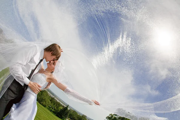 Covered with veil — Stock Photo, Image