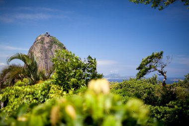 Pao de Acucar