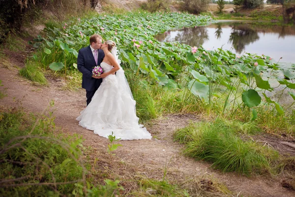 Bruid en bruidegom kussen in de buurt van lotos vijver — Stockfoto