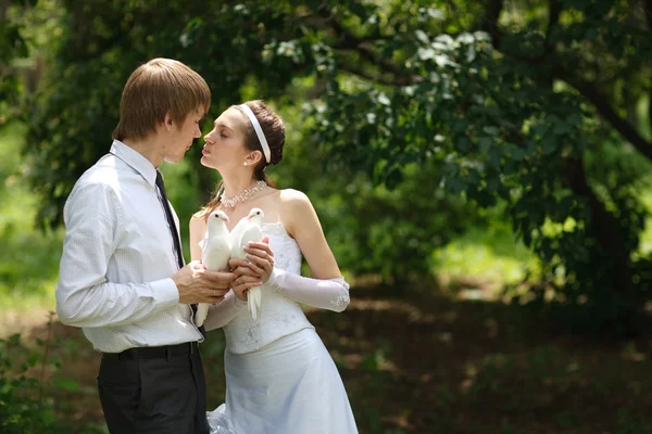 Couple with pigeons — Stock Photo, Image