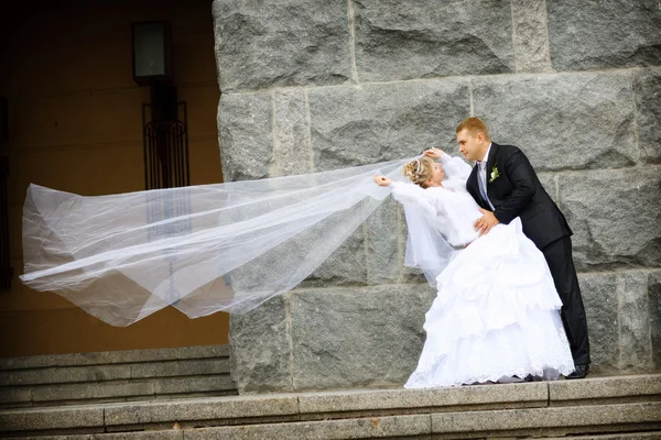 Beijo de noivo — Fotografia de Stock