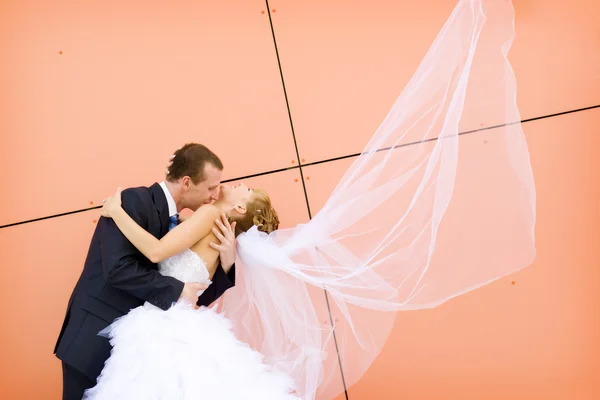 Kus van bruid en bruidegom — Stockfoto