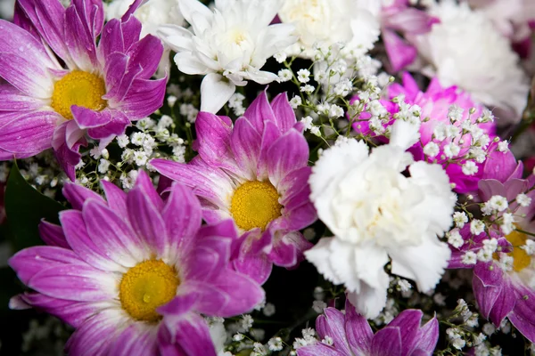 Flowers — Stock Photo, Image