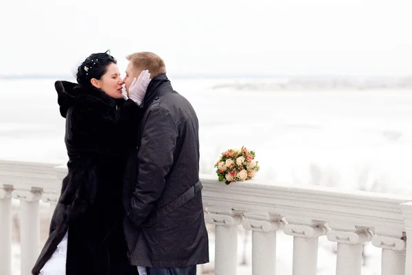 Kus in de winter — Stockfoto