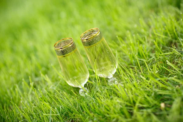 Champagne on the grass — Stock Photo, Image