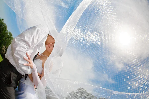 Covered with veil — Stock Photo, Image