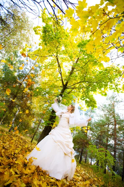 Braut im Herbst — Stockfoto
