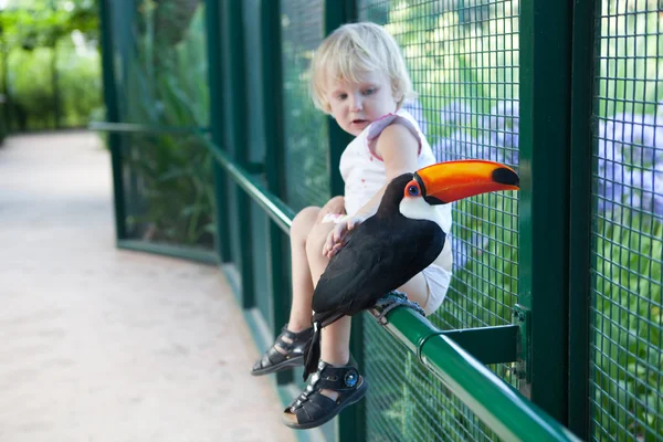 Tucan and a girl — Stock Photo, Image