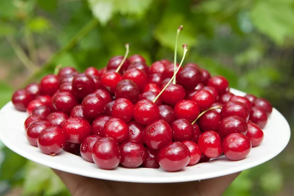 Cerejas saborosas — Fotografia de Stock