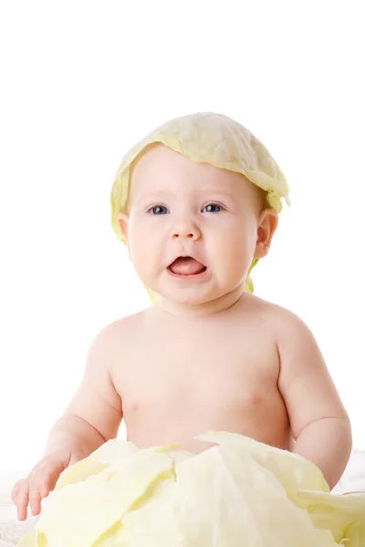 Born from cabbage — Stock Photo, Image