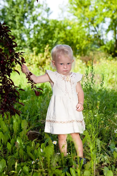 Menina pequena — Fotografia de Stock