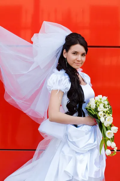 Bride — Stock Photo, Image