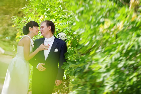 Bride and groom outdoors — Stock Photo, Image