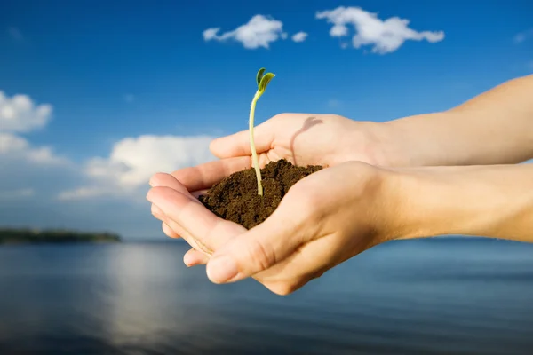 Leben in der Hand — Stockfoto