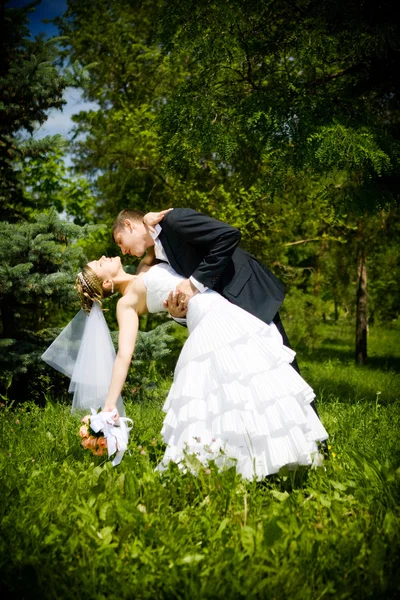 Kiss of bride and groom Stock Photo