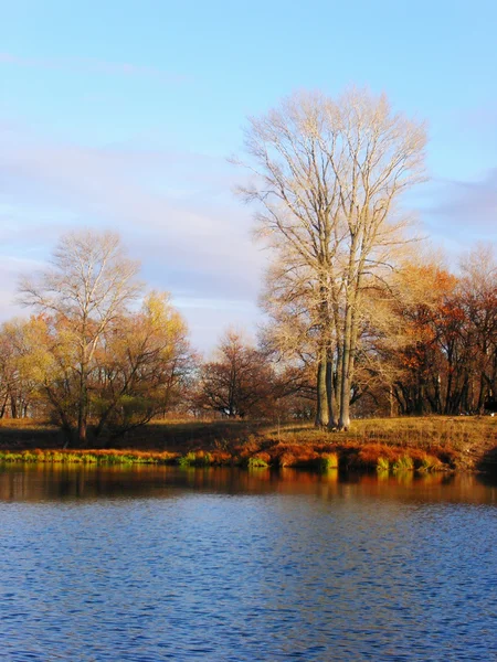 Paisaje otoñal — Foto de Stock