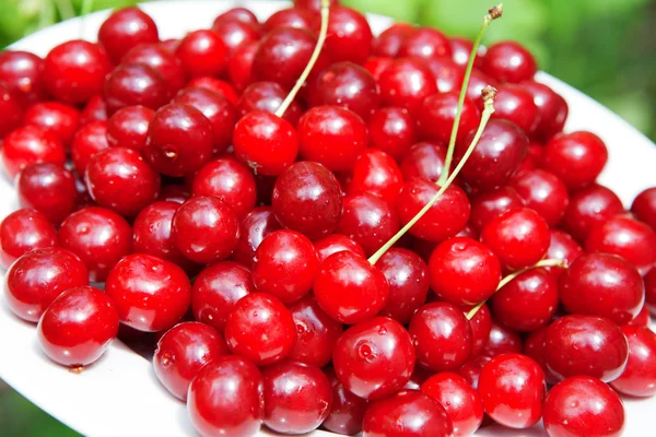 Cerezas en el plato — Foto de Stock