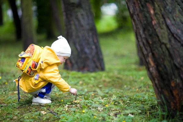 Trovare un fungo — Foto Stock