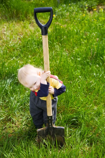Little diger — Stock Photo, Image