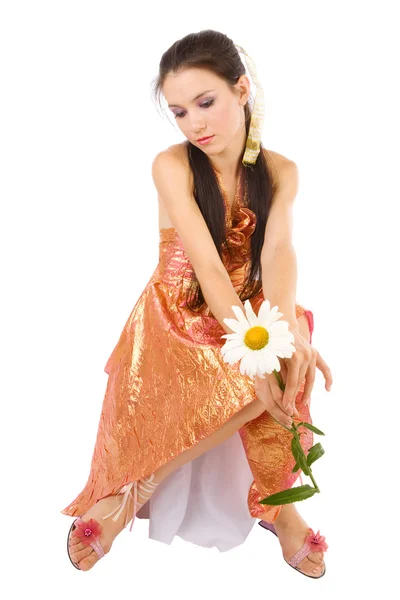 Chamomile in hands of the girl — Stock Photo, Image