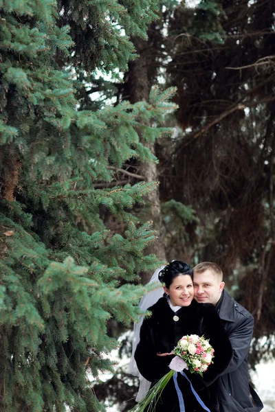 Pár v zimě — Stock fotografie