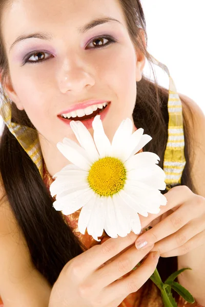 Chamomile in hands — Stock Photo, Image