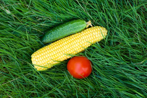 Grönsaker på gräset — Stockfoto