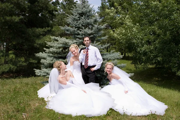 Un marié avec trois mariées — Photo