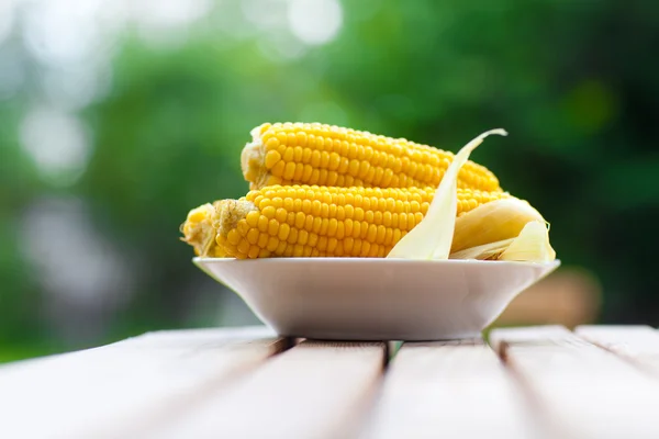 Maizes på plattan — Stockfoto