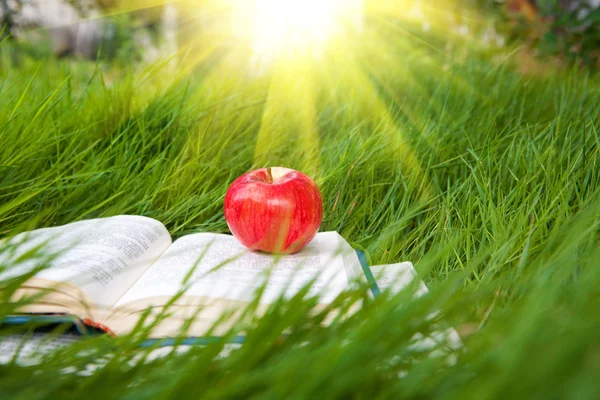 Sun over the book with apple — Stock Photo, Image