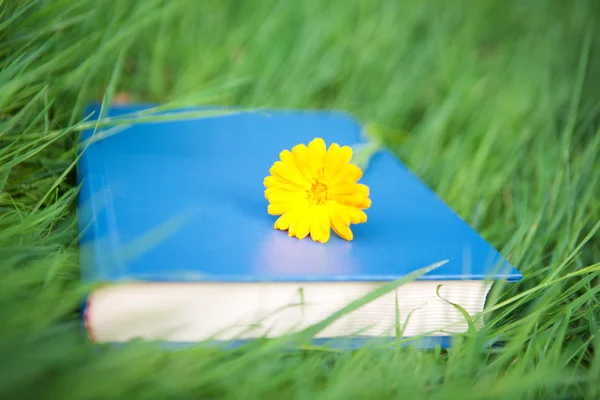 Flower on the book — Stock Photo, Image