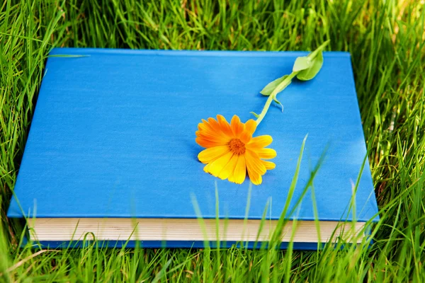 Flower on the book — Stock Photo, Image