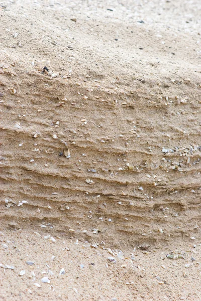 Diferentes conchas marinas en la arena — Foto de Stock