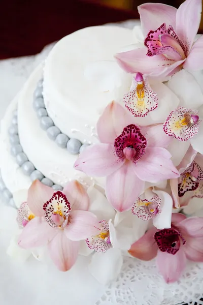 Weitschweifender Kuchen — Stockfoto