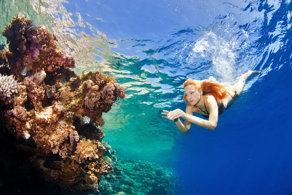 Corales en el mar — Foto de Stock