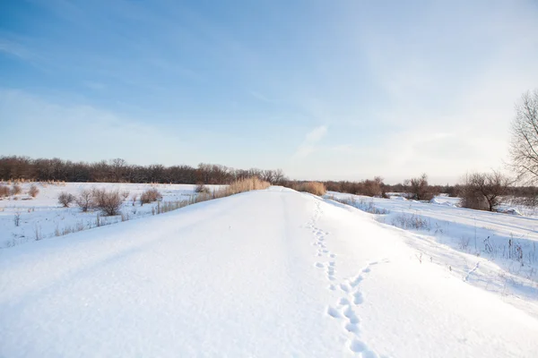 Carretera de la mañana en invierno — Foto de Stock