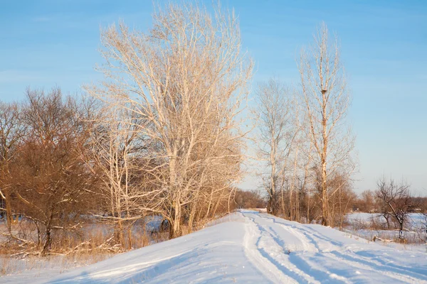 Manhã no inverno — Fotografia de Stock